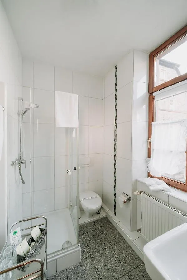 Fraenkischer Gasthof-Hotel Zum Koppen Gemunden am Main 3*,