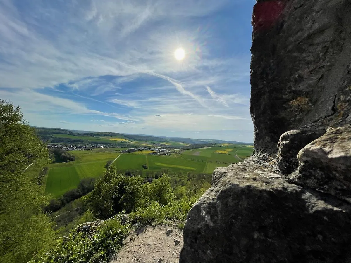 Fraenkischer Gasthof-Hotel Zum Koppen Gemunden am Main 酒店